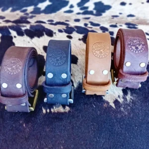 classic leather dog collar variation group