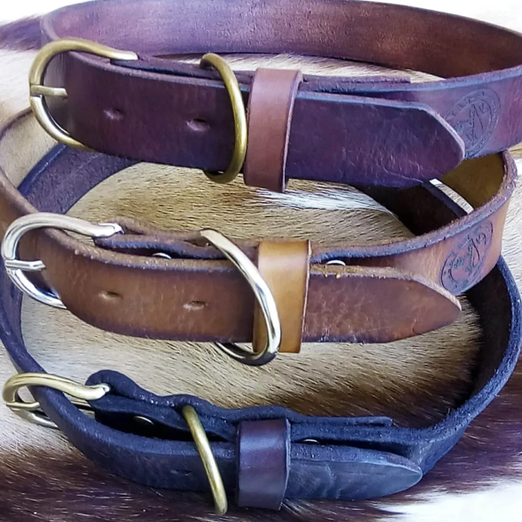 classic leather dog collar variation group2